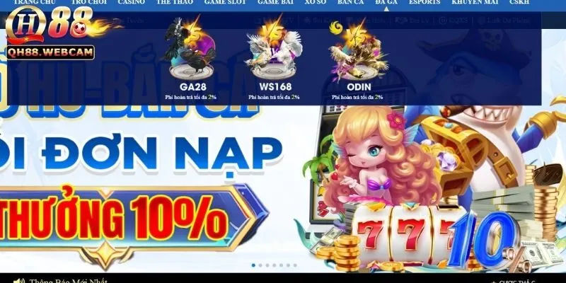 Đá Gà ODIN - Hình Ảnh Sắc Nét, Cược Đá Gà Online Uy Tín 3 Trải nghiệm người dùng trên Đá Gà ODIN